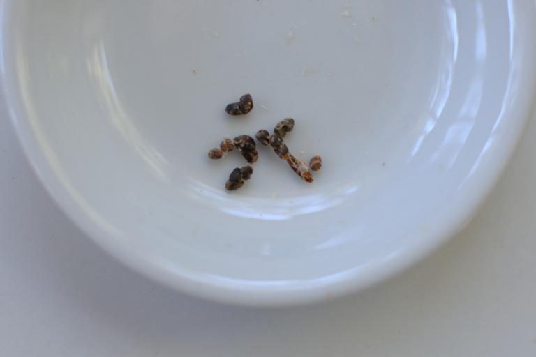 Recipe: Garam masala. Step c.
